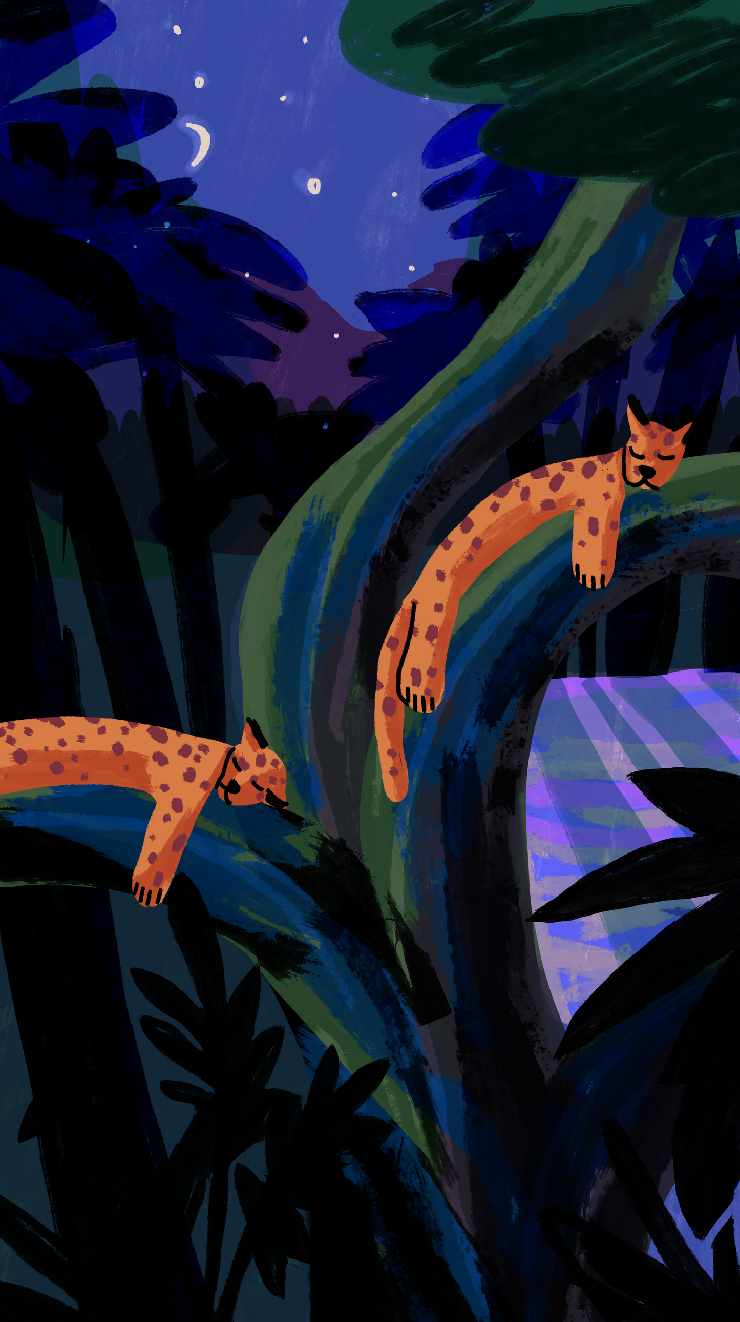 Sleeping Leopards